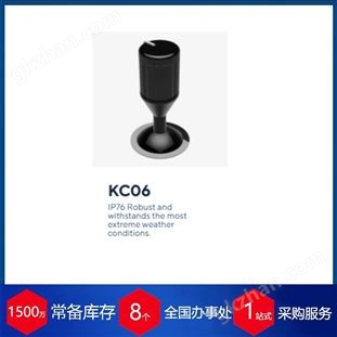 荷蘭Kwant Controls操舵搖桿