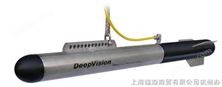 Deepvision 侧扫声纳 旁扫声纳