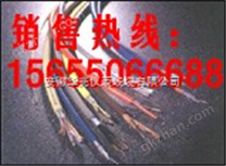 儀表電纜儀表信號電纜，儀表控制電纜