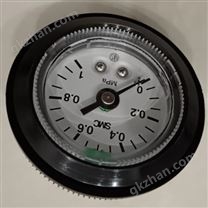 G46-P10-01-L-X30，SMC彩色带型压力表详细资料