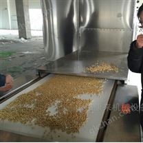 蓮子微波烘焙設(shè)備 大豆微波脫腥機