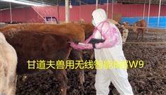 马用B超价格驴马用B超厂家报价多少钱
