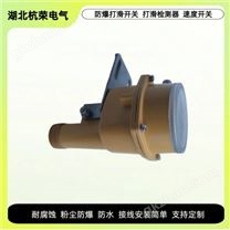 SJ-III速度打滑开关