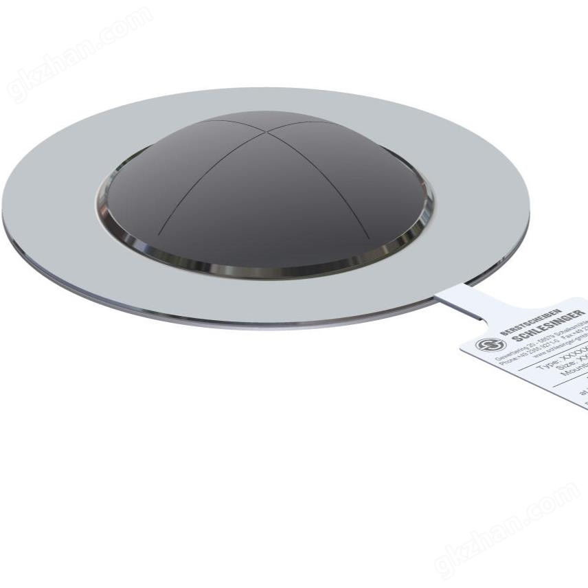 Schlesinger BK 型爆破片于化工制药的应用