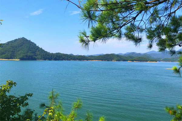 服務產品匯|注塑機的原廠加熱器究竟有多重要?